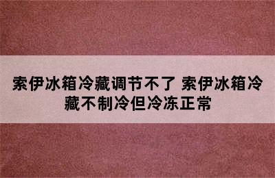 索伊冰箱冷藏调节不了 索伊冰箱冷藏不制冷但冷冻正常